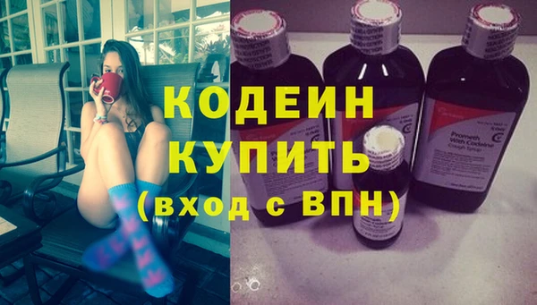 spice Инсар