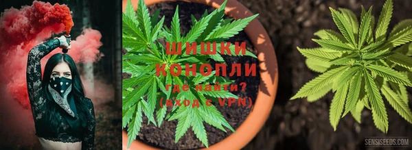 твердый Инта