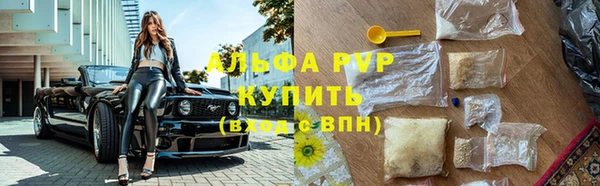 твердый Инта