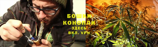 spice Инсар