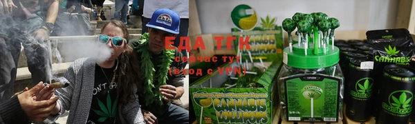 твердый Инта
