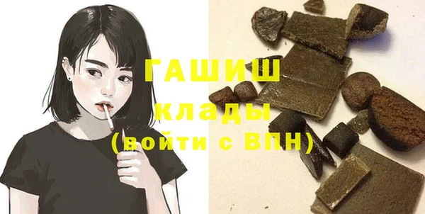 твердый Инта
